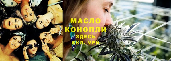 тгк Абаза