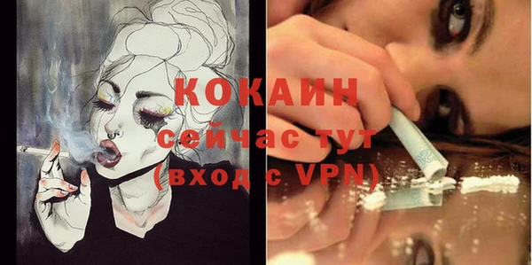 ГАЛЛЮЦИНОГЕННЫЕ ГРИБЫ Пересвет