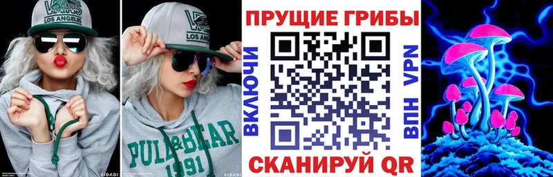 где можно купить наркотик  Струнино  Псилоцибиновые грибы прущие грибы 